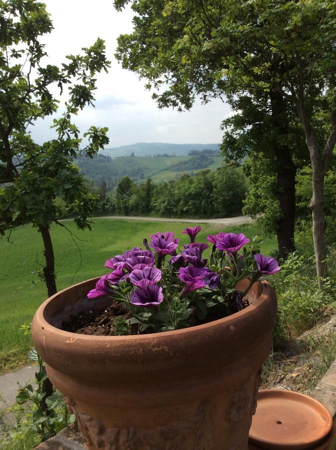 Agriturismo Ca Lunati Hotel Castelletto Mendosio Eksteriør billede